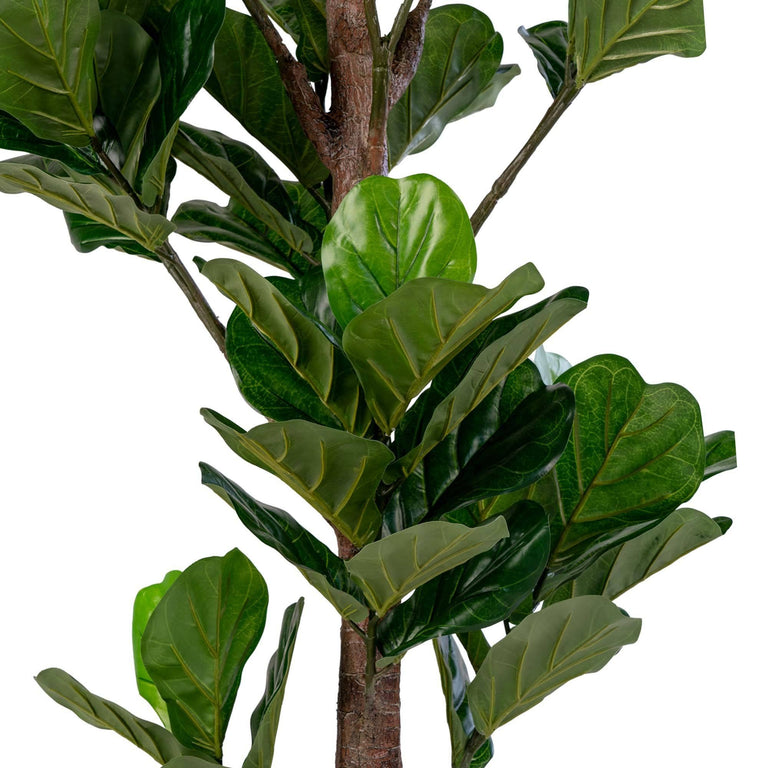 Kunst Ficus lyrata Vioolplant