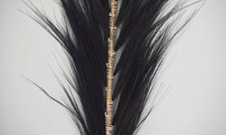 Decoratie Feather