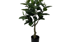 Kunstplant Rubber Tree