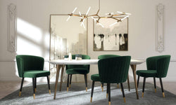 sia-home-set-van2eetkamerstoelen nils velvet-groen-velvet-stoelen- fauteuils-meubels2