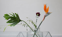 urban-natureculture-vaas-arvis-transparant-gerecycled-glas-vazen-bloempotten-decoratie2