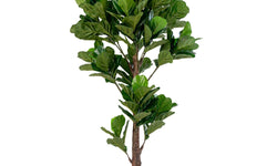 Kunst Ficus lyrata Vioolplant