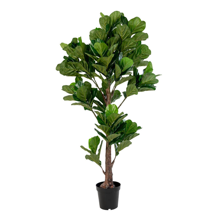 Kunst Ficus lyrata Vioolplant