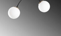 Hanglamp Duo 2-lichts