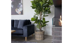 Kunst Ficus lyrata Vioolplant