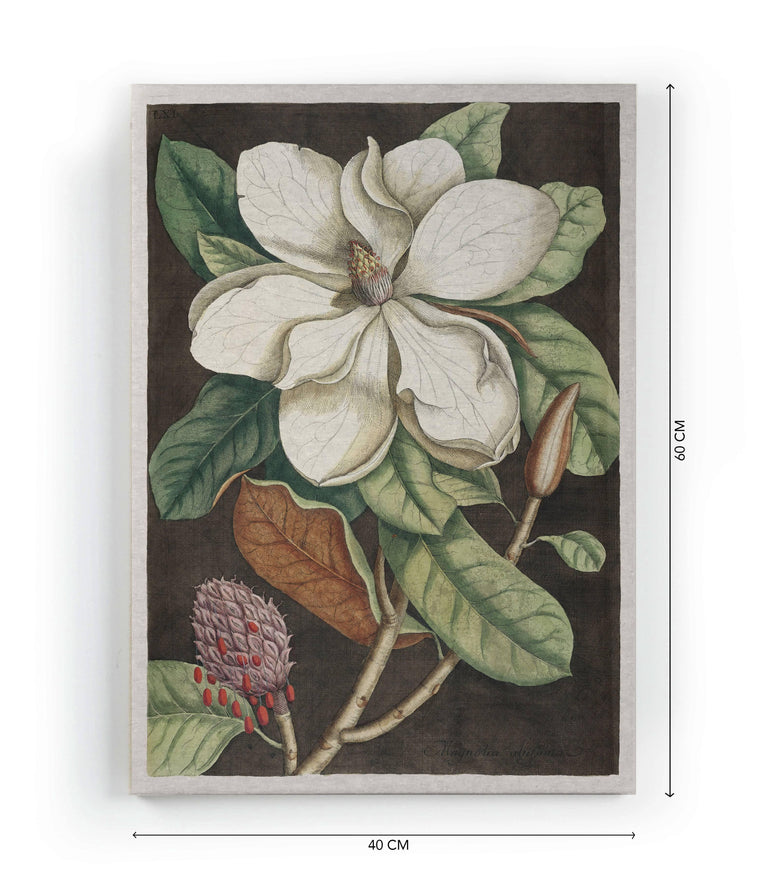 Wanddecoratie Magnolia