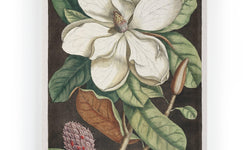 Wanddecoratie Magnolia