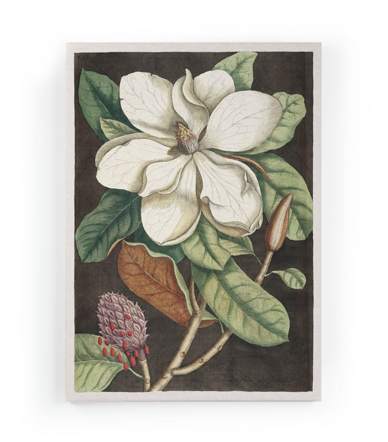 Wanddecoratie Magnolia