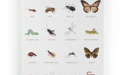 Wanddecoratie Insects