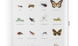 Wanddecoratie Insects