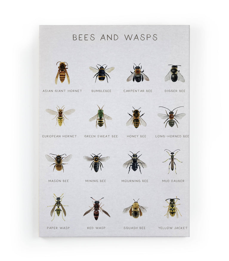 Wanddecoratie Bees