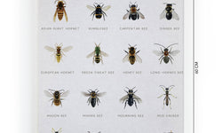 Wanddecoratie Bees