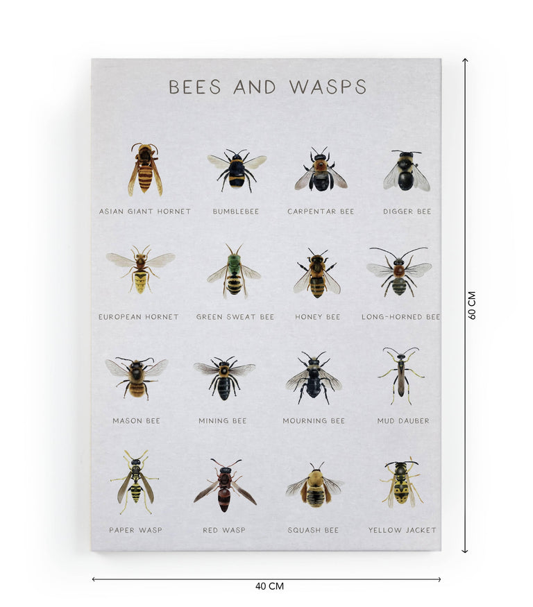 Wanddecoratie Bees