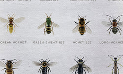 Wanddecoratie Bees