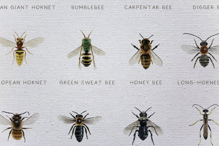 Wanddecoratie Bees