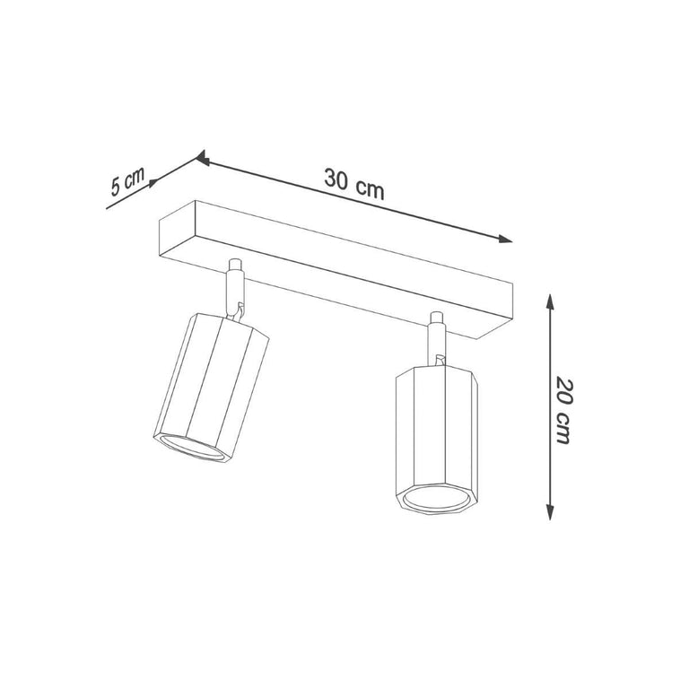 2-lichts plafondlamp Zeke