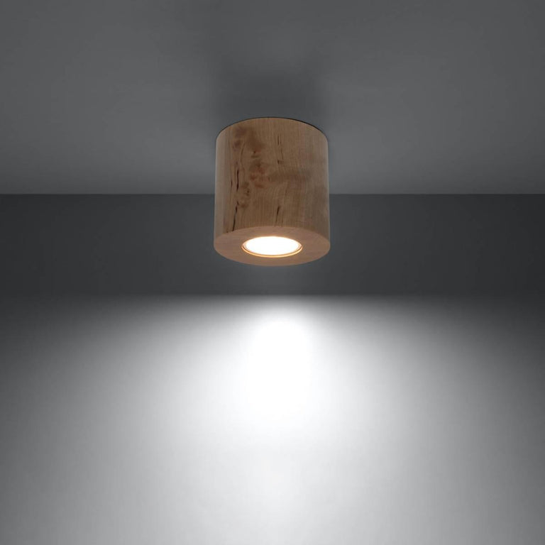 Plafondlamp Orbis