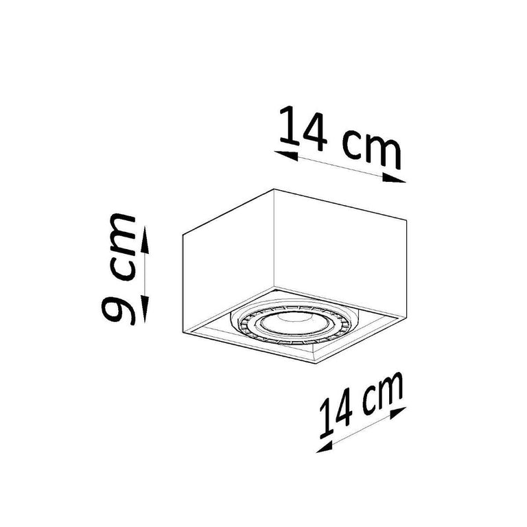 1-lichts Plafondlamp Quatro