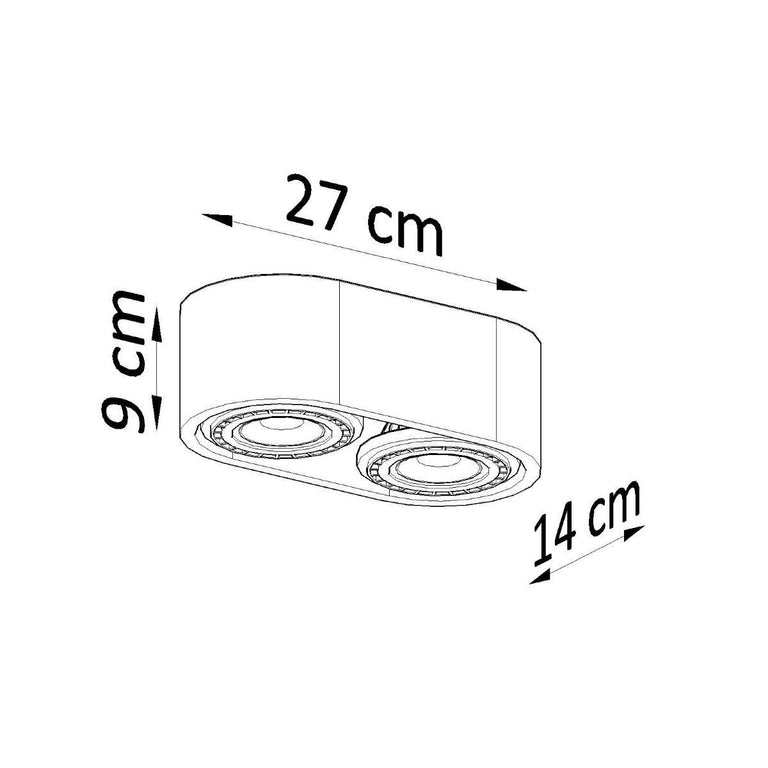 2-lichts Plafondlamp Basic