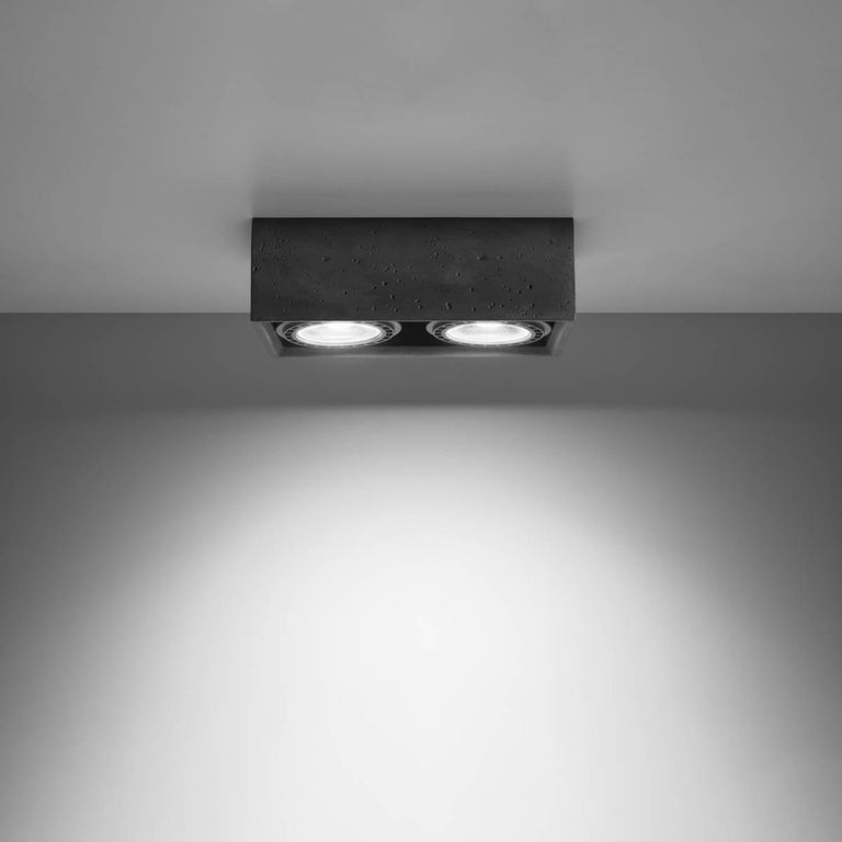 2-lichts Plafondlamp Quatro