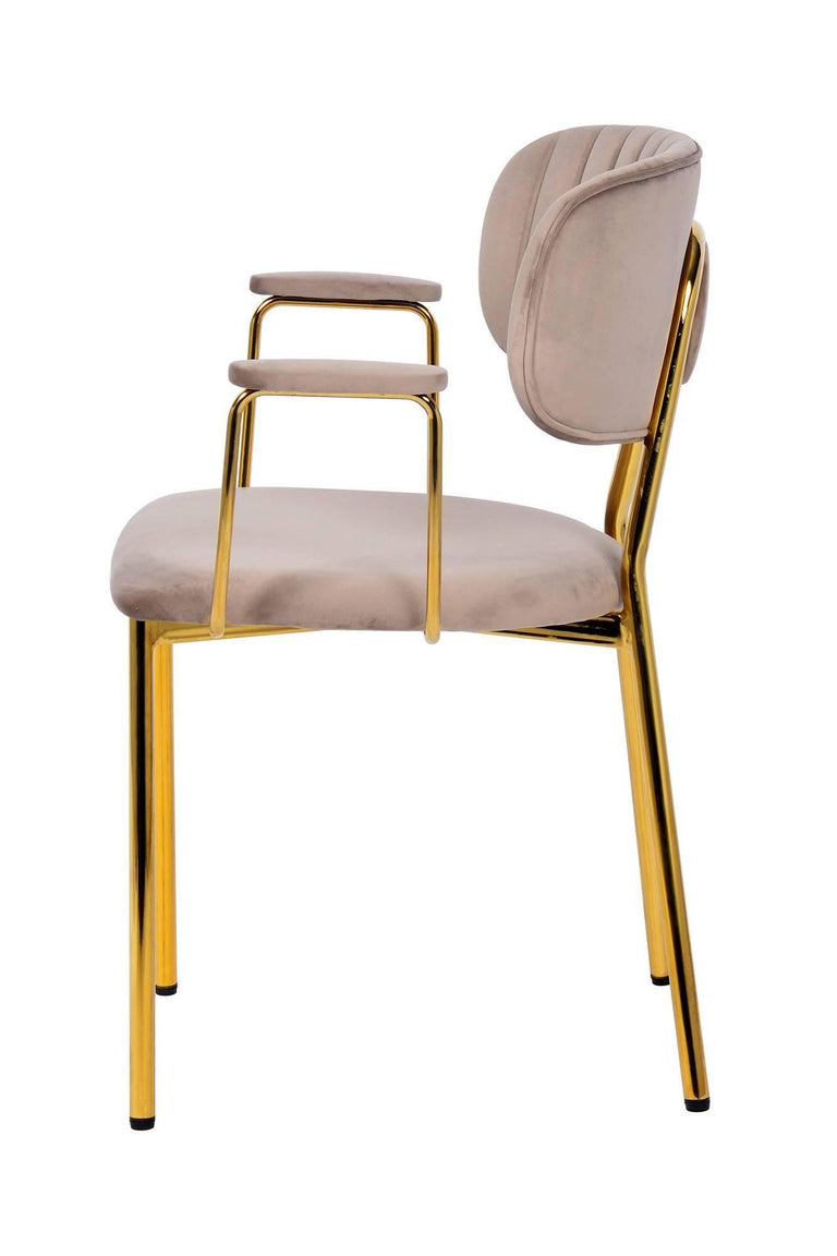 Set van 2 eetkamerstoelen Giselle velvet