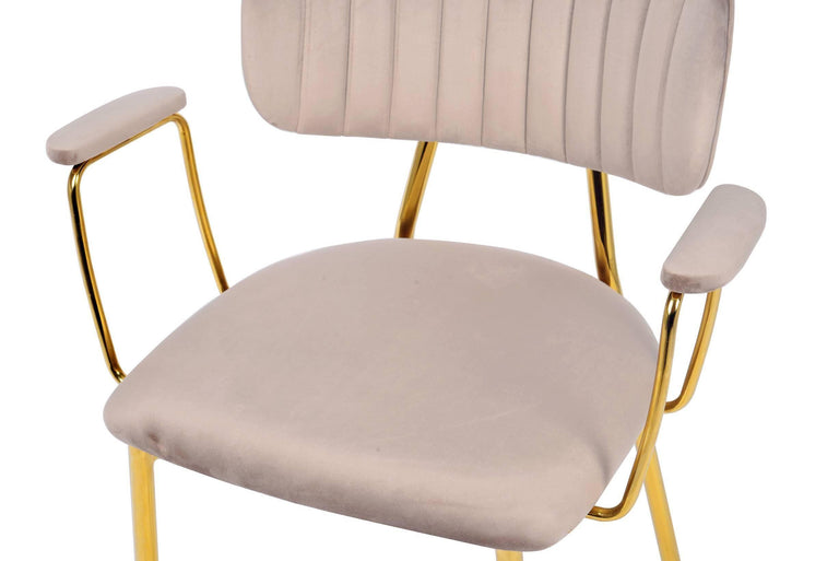 Set van 2 eetkamerstoelen Giselle velvet