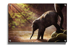 Canvas schilderij Baby Olifant