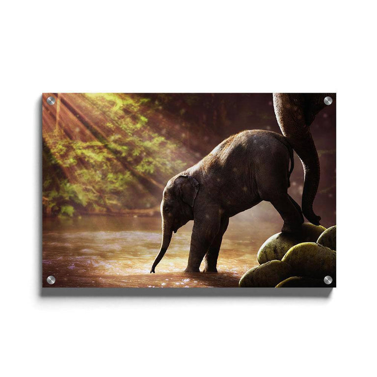 Canvas schilderij Baby Olifant