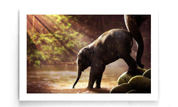 Canvas schilderij Baby Olifant