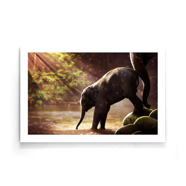 Canvas schilderij Baby Olifant